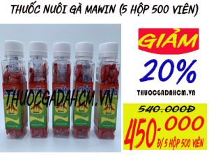 Thuốc Gà Đá Thái Lan MaWin " Sắc Thái, Bổ Máu" Cung Cấp Vitamin Bổ Máu Giúp Gà Đá (5 Hộp 500 Viên)